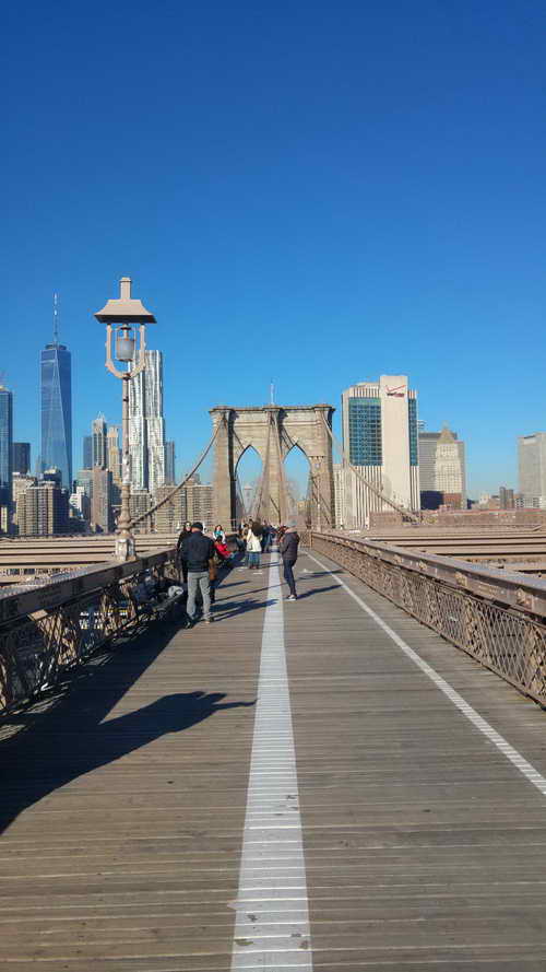 NYC_2017-11-24 10-21-03_CELL_20171124_102104